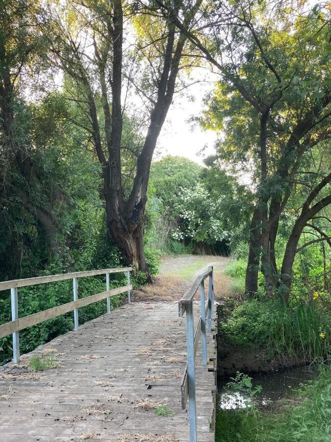 Apartamento Turistico Cerca Aranda De Duero La Ren Lecres Vadocondes Luaran gambar