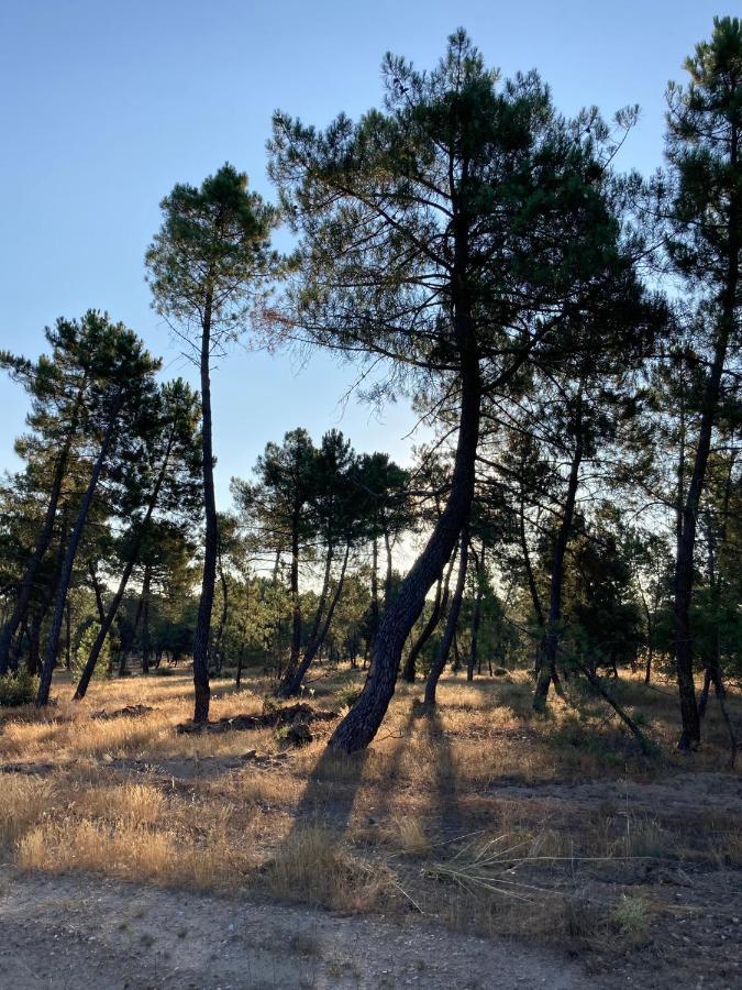 Apartamento Turistico Cerca Aranda De Duero La Ren Lecres Vadocondes Luaran gambar
